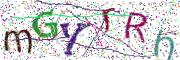 CAPTCHA visuel